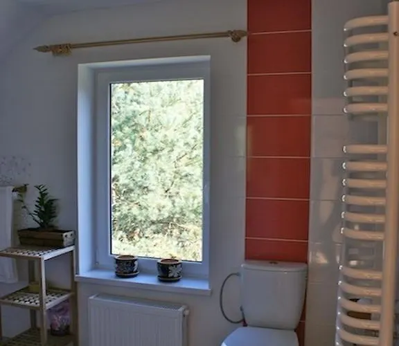 Domek Jantar 別荘 *